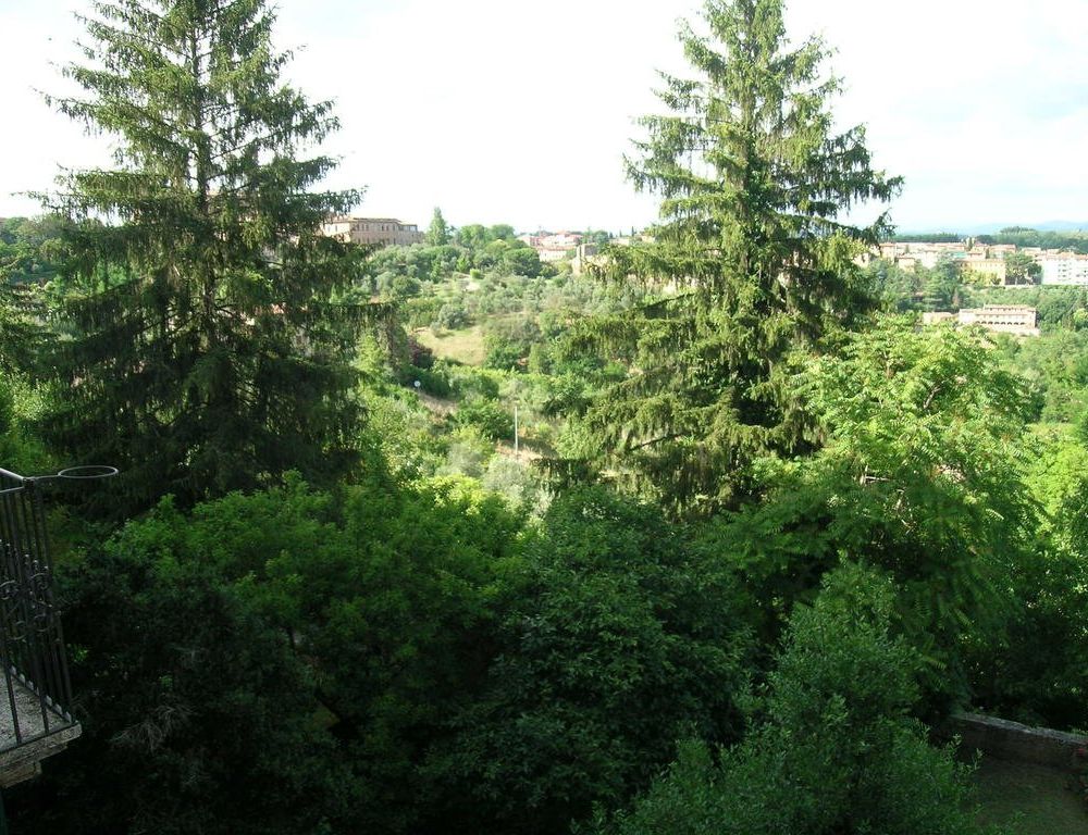 Outdoor Pictures 21