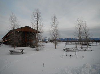 Outdoor Pictures 7