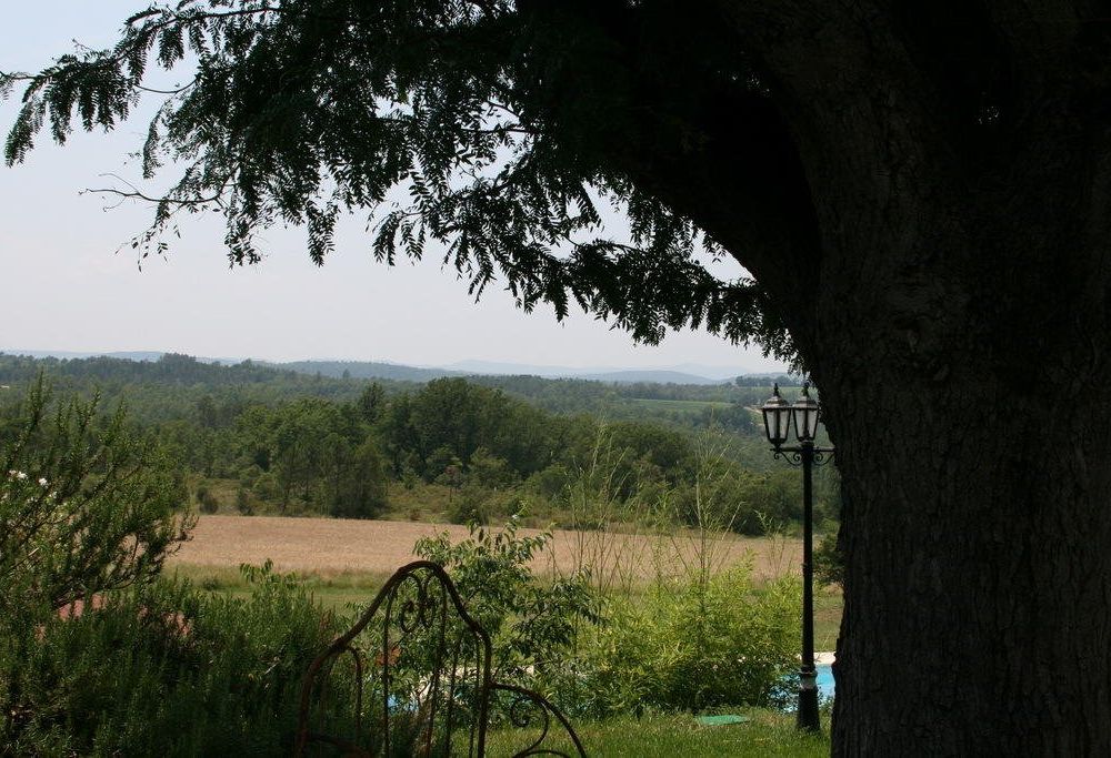Outdoor Pictures 12