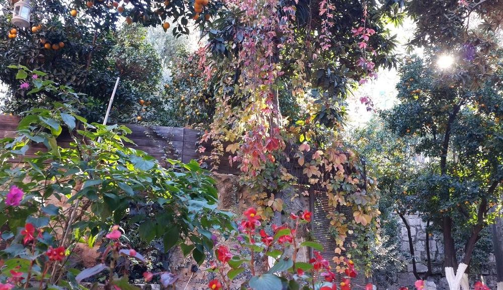 Outdoor Pictures 18
