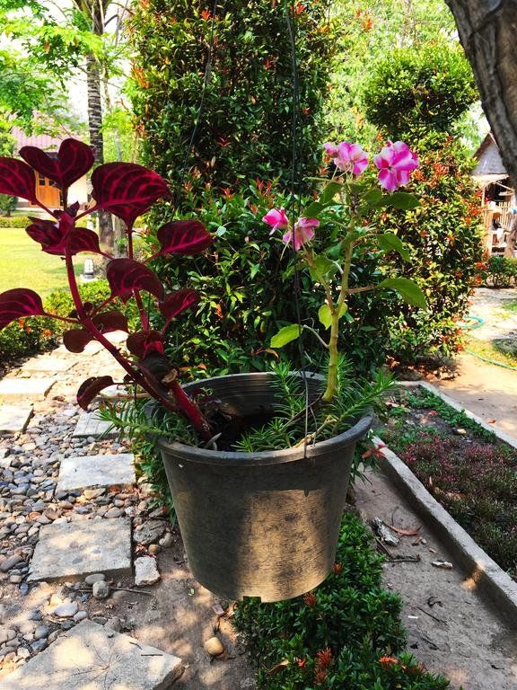 Outdoor Pictures 19