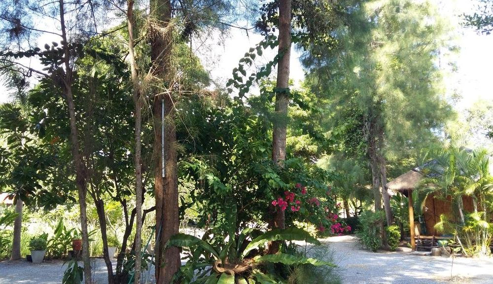 Outdoor Pictures 1