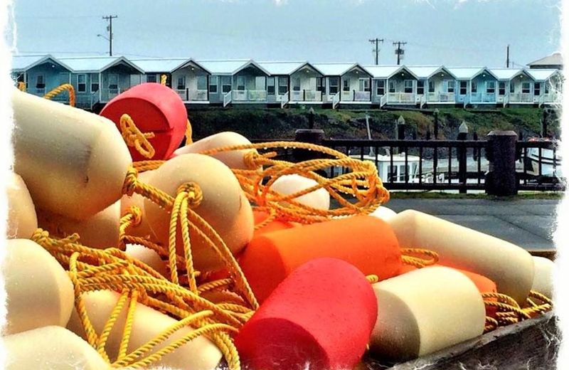 Westport Marina Cottages