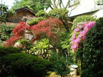Outdoor Pictures 11
