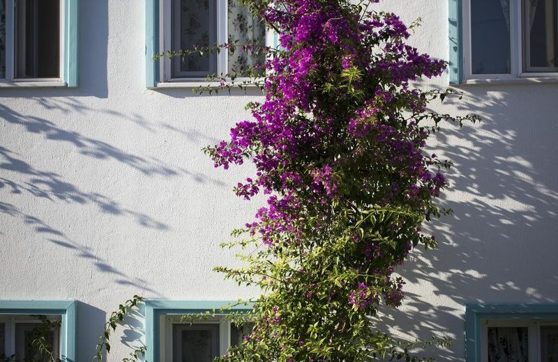 Casa Del Mar Bodrum