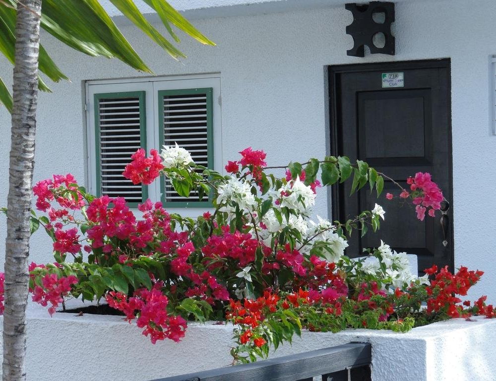 Outdoor Pictures 12