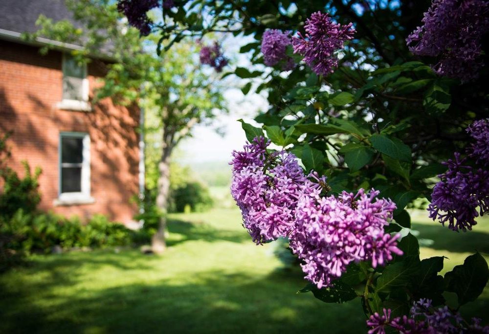 Outdoor Pictures 20