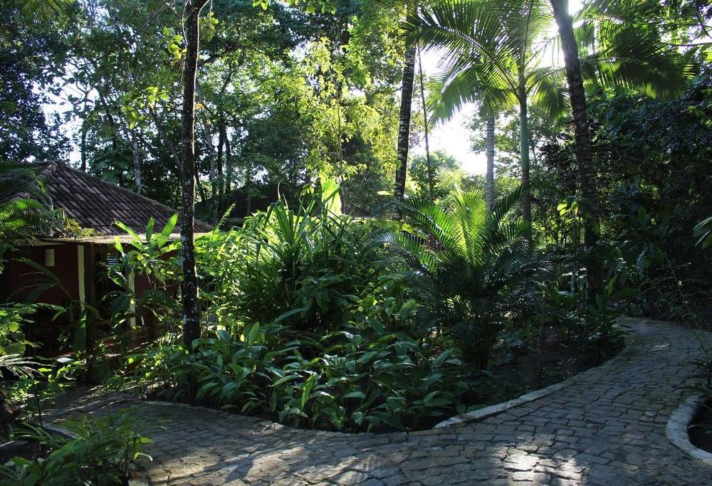 Outdoor Pictures 21