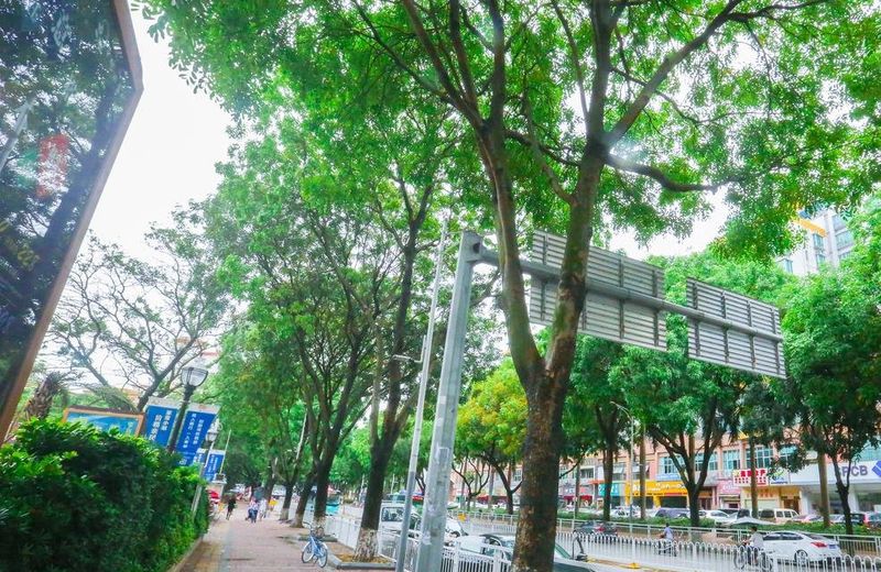 Shenzhen Dayhello international Hotel (Baoan)