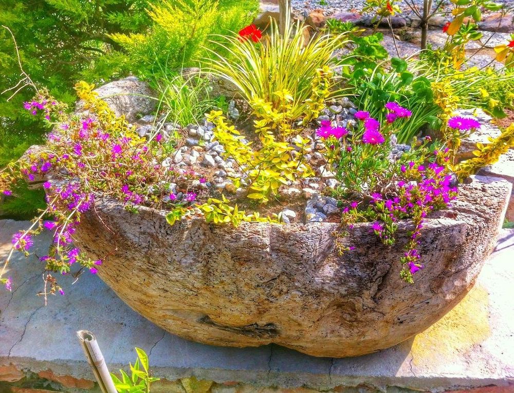 Outdoor Pictures 20