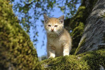 Outdoor Pictures 20