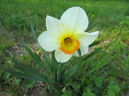 Outdoor Pictures 22