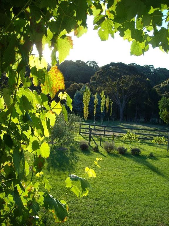 Outdoor Pictures 22