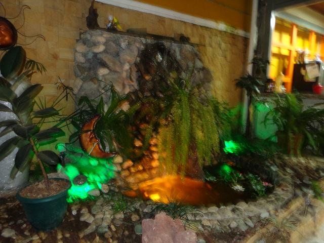 Outdoor Pictures 17