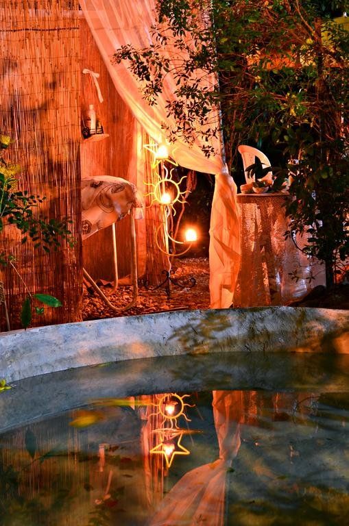 Outdoor Pictures 16