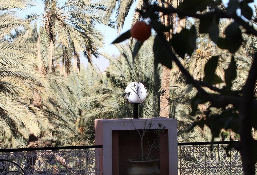 Outdoor Pictures 20