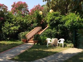 Outdoor Pictures 9