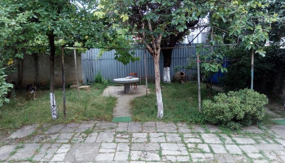 Outdoor Pictures 24