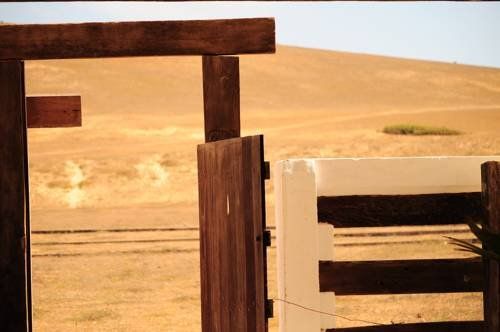 Outdoor Pictures 14