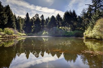 Outdoor Pictures 21