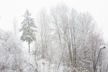 Outdoor Pictures 21