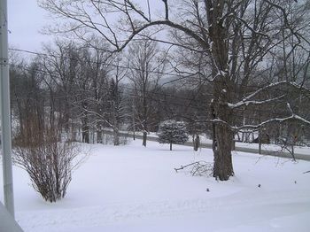 Outdoor Pictures 21