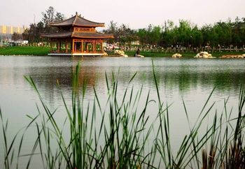 Outdoor Pictures 21