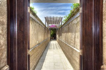 Outdoor Pictures 23