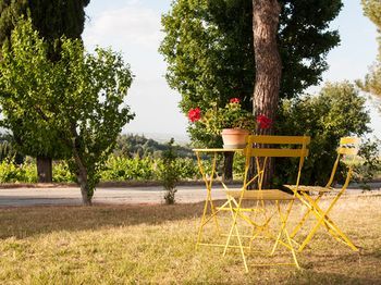 Outdoor Pictures 21