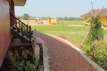 Outdoor Pictures 21