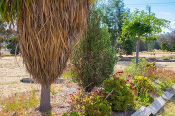 Outdoor Pictures 20