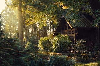 Outdoor Pictures 24