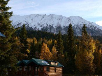 Outdoor Pictures 15