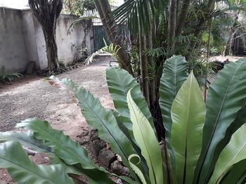 Outdoor Pictures 23