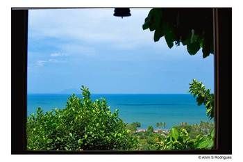 Outdoor Pictures 24