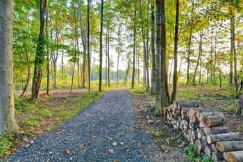 Outdoor Pictures 22