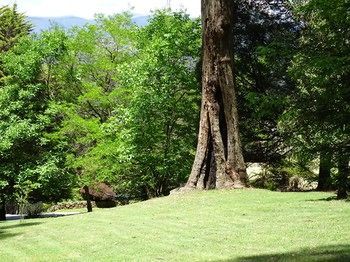 Outdoor Pictures 18