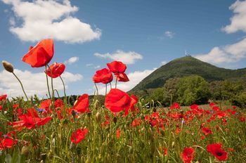Outdoor Pictures 22