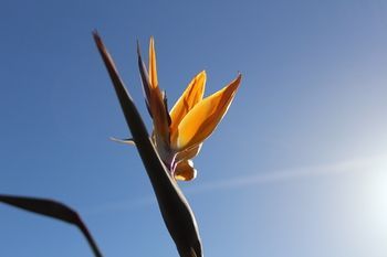 Outdoor Pictures 23