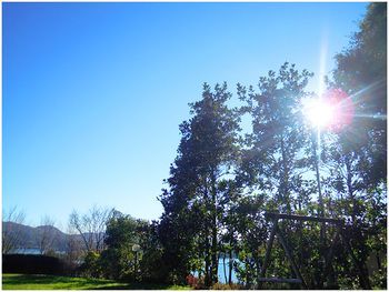 Outdoor Pictures 7