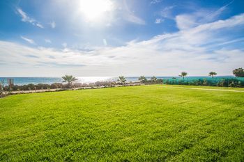Outdoor Pictures 15