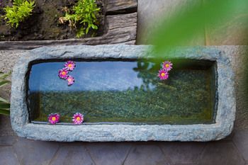 Outdoor Pictures 21