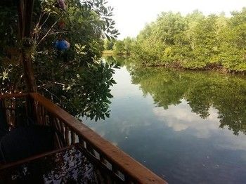 Mangroves & More @ Cambodia