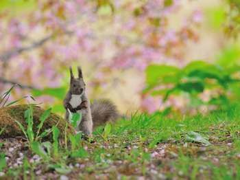 Outdoor Pictures 21