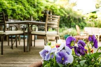 Outdoor Pictures 10
