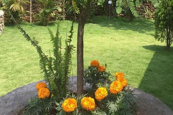 Outdoor Pictures 14
