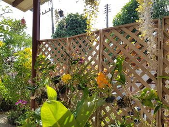 Outdoor Pictures 20