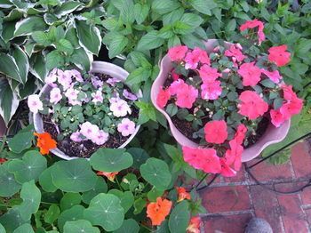 Outdoor Pictures 14