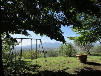 Outdoor Pictures 12