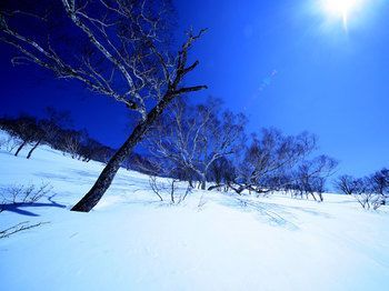 Outdoor Pictures 16